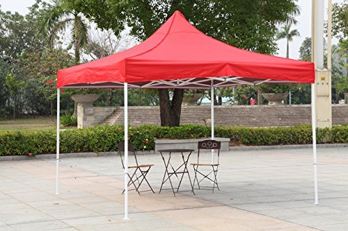 10 x 10 ft ( Regular Quality ,21 kgs ,420 D Fabric)
