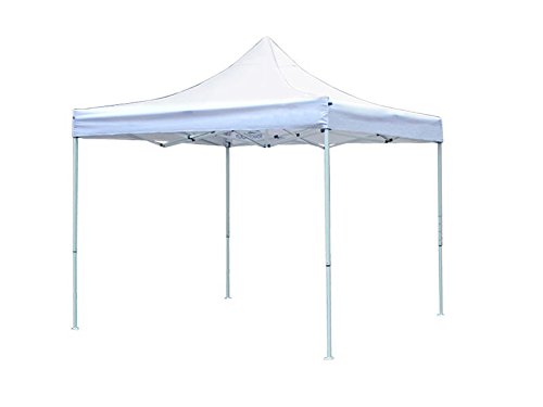 6.5 x 6.5 Ft Gazebo Tent
